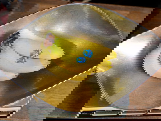 Eerste banaan van Nederlandse bodem