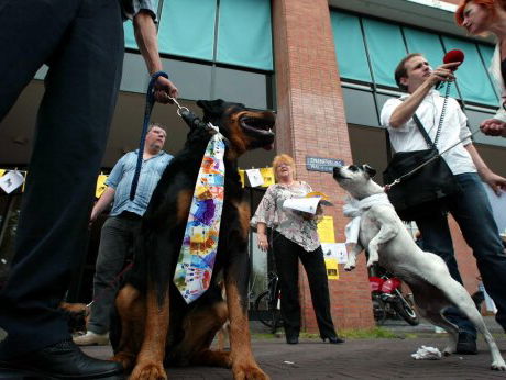 'Hond is een vervuilende eenheid'