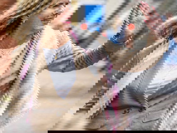 Minister Van Nieuwenhuizen stopt per direct