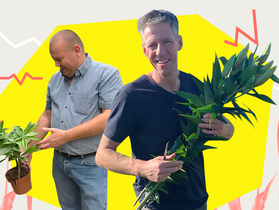 Bloemen coöperatie wankel door strategie directie