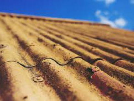 Voorspelling van 10.000 sterfgevallen door asbest in Nederland