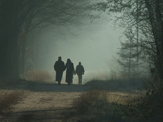 Hoezo is het druk in de natuur?