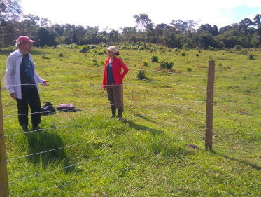 Regenwoud op uitgeputte graslanden