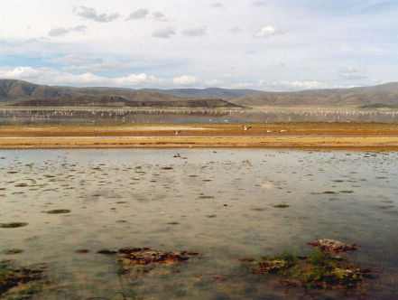 Het opgedroogde meer in Bolivia zorgt voor spookdorpen