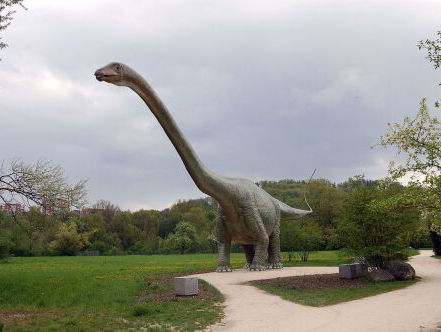 Huisdeskundige Nynke Beintema duikt in de Dinowetenschap