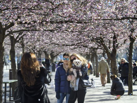 Alles onder controle in Zweden