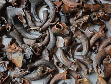 Wat zijn de grootste archeologische vondsten in jouw land?