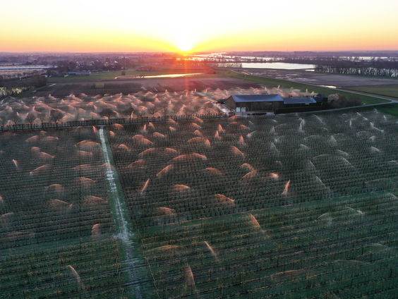 Stevinpremie uitgereikt aan omgevingspsycholoog Linda Steg