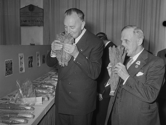 Caro Verbeek over de geur van het verleden