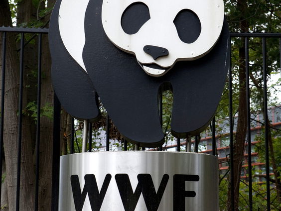 Hoe kunnen we de dierensterfte nog keren?