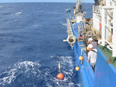 Luisteren naar walvissen