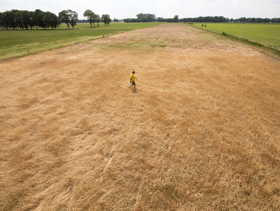 Droogte in de Achterhoek