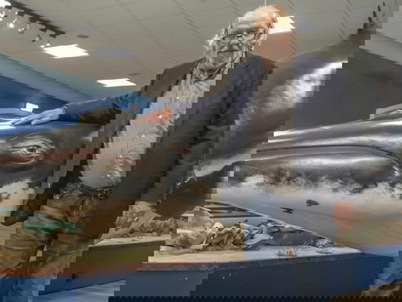 Je eigen walvis uit de oeroceaan