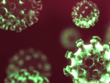 Corona is cultuurshock in eigen land