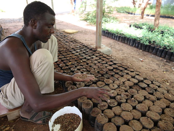 Corona zorgt voor terugval in oude tradities Afrika
