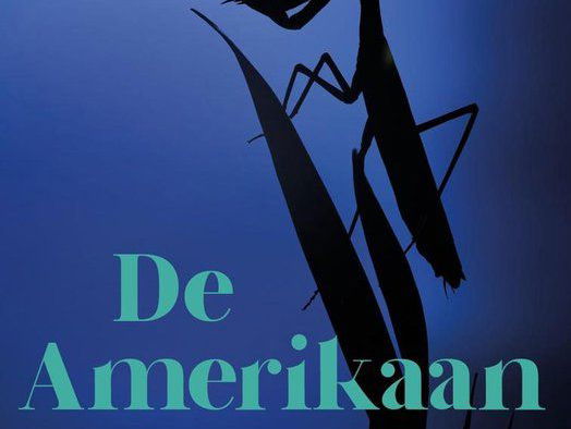 'De Amerikaan van Karadj': opgroeien tijdens de Islamitische Revolutie