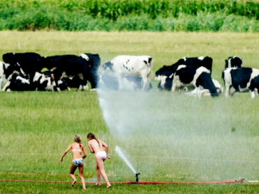 Boetes en waarschuwingen voor overtreden sproeiverbod