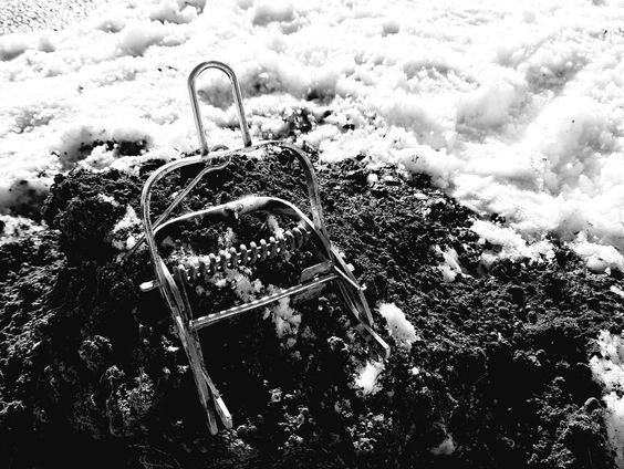 Geen mollenjacht in de Hollandse Delta