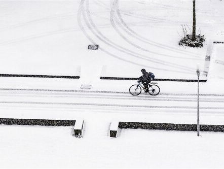 Stand.nl: We laten ons gek maken door een paar centimeter sneeuw