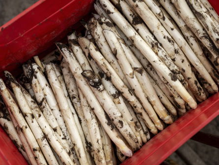 Ondernemers moeten kansen zien