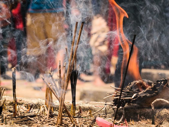 Nederlander ontdekt nieuwe wierookboom