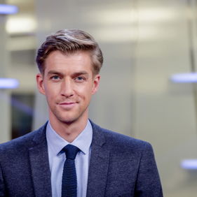 De Europese Verkiezingen