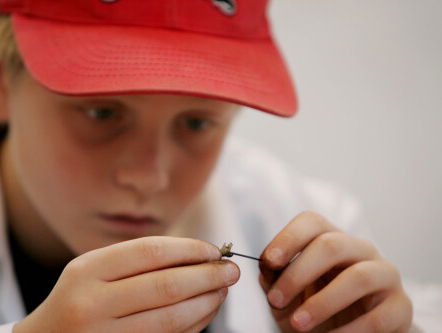 WNL Natuurmonumenten: de uilenbal (en waar is 'ie te vinden)!