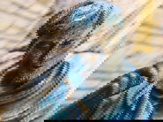 Waarom vieren we dierendag op 4 oktober?