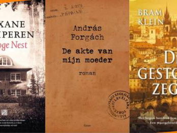 Boeken met Lidewijde Paris