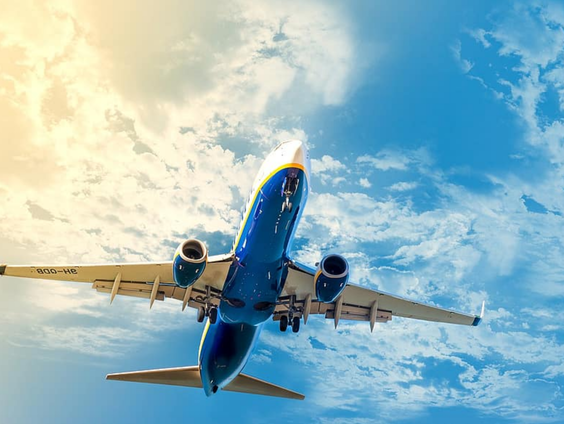 Nieuwsforum: De vakantie van de koning, Amerikaanse verkiezingen en stikstof