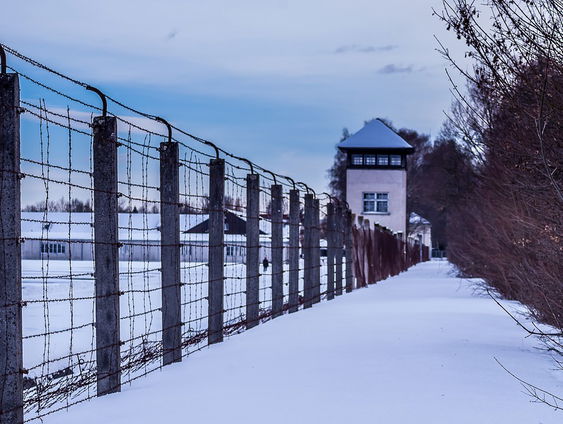 Zijn trauma's erfelijk?