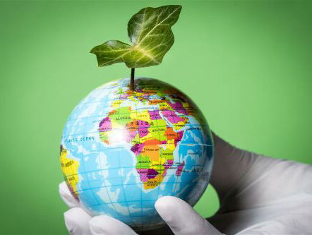 Milieutips met Joerie Zijderveld