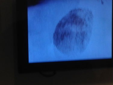 Criminele Kringen: Maffia, Netflix, Cryptojacking en Boevenkunst