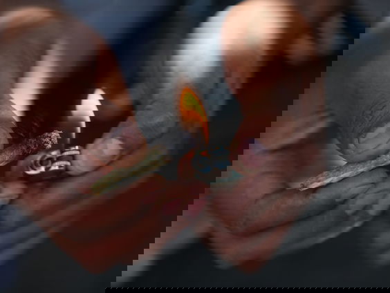 Afrikaanse landen willen geld verdienen aan medicinale wiet