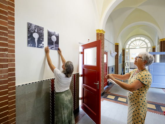 VO-Raad: 'OMT-lid Illy schept verwarring met 'meter afstand'-uitspraak'