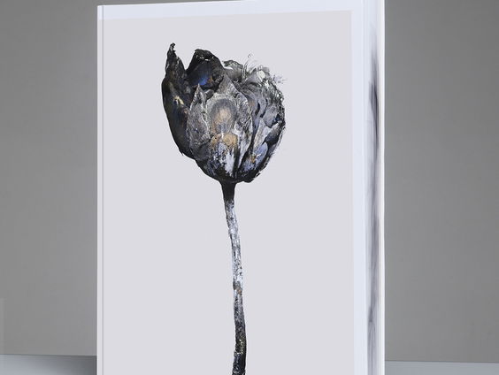 Martin Sweers ging van modefotograaf naar verkoolde bloemen