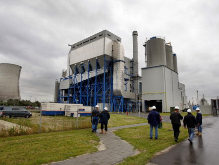 PBL: Nederland kan niet om biomassa heen