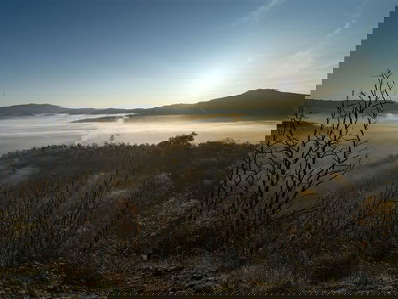 De Dag Van! Zondag 14 november