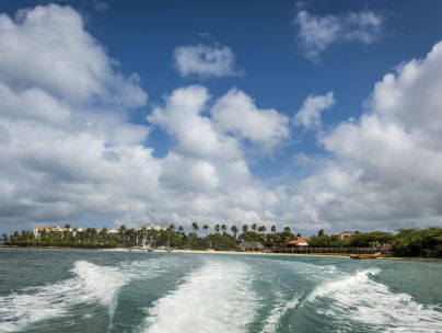 'De pedofielen zijn te machtig op Aruba'