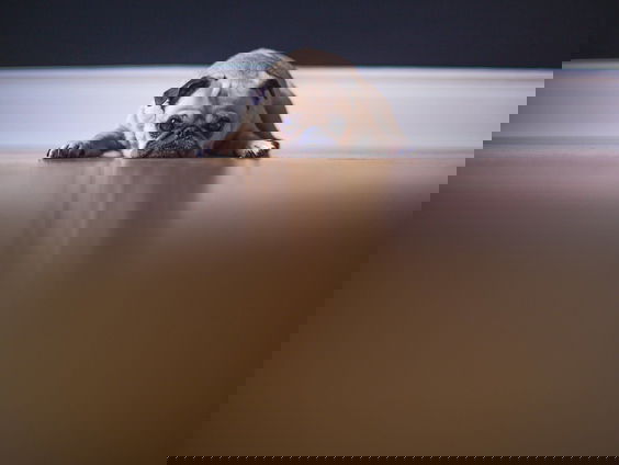 Ga de strijd aan met jouw ochtendhumeur met behulp van deze tips