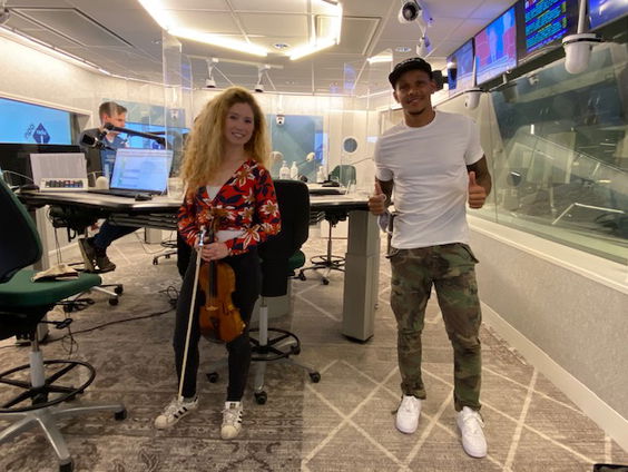 Toppers in de kunst pakken noodgedwongen ander werk aan