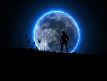 De Nederlandse Ninja