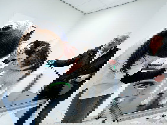 200 jaar diergeneeskunde