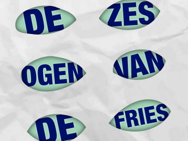 De 6 Ogen van de Fries: ex-daklozen