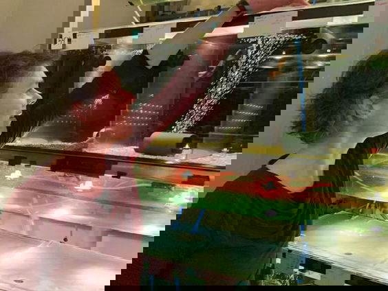 Hoe ontstaan nieuwe soorten?