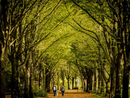 Milouska Meulens op het Boekenbal