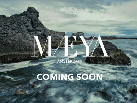 Een tas van vissenleer