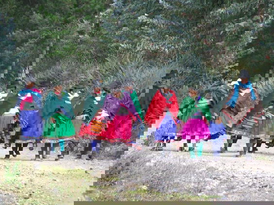 Welke tradities zijn er in Ecuador en op Aruba?