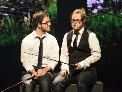 Het Zomerdagboek van Ivo Niehe