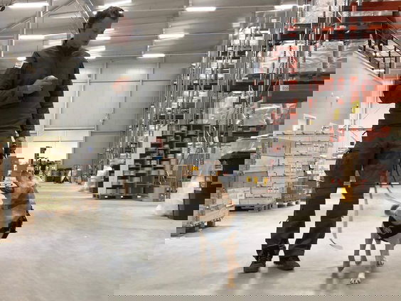 Speurhonden tegen wildsmokkel